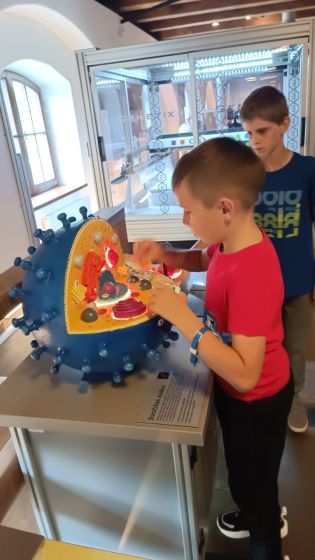 Fotografie img-20240603-wa0017_original.jpg