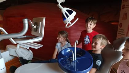 Fotografie img-20240603-wa0019_original.jpg