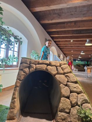 Fotografie img-20240603-wa0028_original.jpg