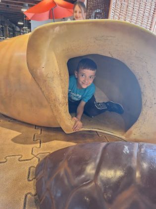 Fotografie img-20240603-wa0029_original.jpg