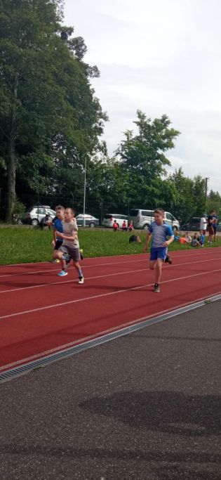 Fotografie img-20240603-wa0093_original.jpg