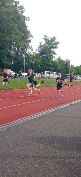 Fotografie img-20240603-wa0094_original.jpg