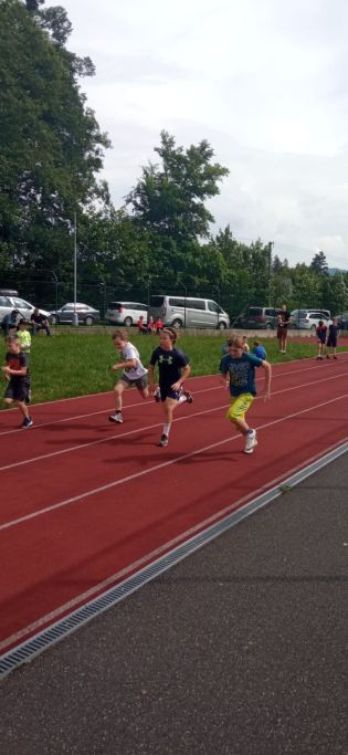 Fotografie img-20240603-wa0095_original.jpg