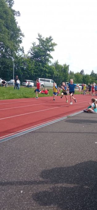 Fotografie img-20240603-wa0096_original.jpg