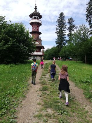 Fotografie img-20240611-wa0060_original.jpg