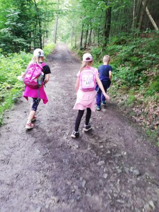 Fotografie img-20240611-wa0063_original.jpg