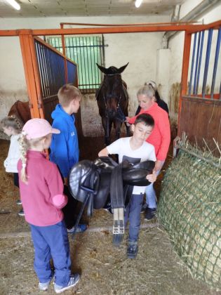 Fotografie img-20240611-wa0001_original.jpg