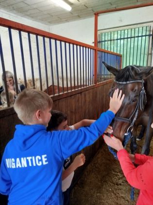 Fotografie img-20240611-wa0002_original.jpg