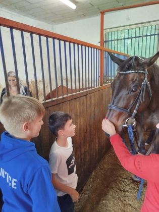 Fotografie img-20240611-wa0003_original.jpg