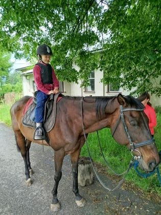 Fotografie img-20240611-wa0007_original.jpg