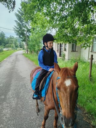 Fotografie img-20240611-wa0025_original.jpg