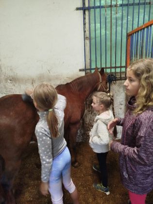 Fotografie img-20240611-wa0026_original.jpg