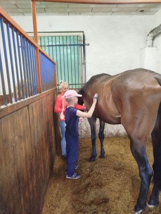 Fotografie img-20240611-wa0028_original.jpg