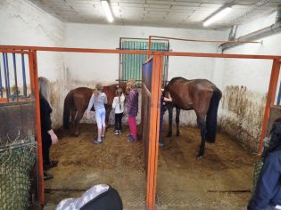 Fotografie img-20240611-wa0030_original.jpg