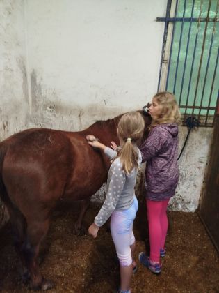 Fotografie img-20240611-wa0033_original.jpg