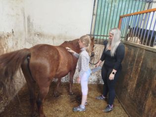 Fotografie img-20240611-wa0035_original.jpg