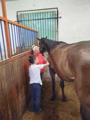 Fotografie img-20240611-wa0036_original.jpg