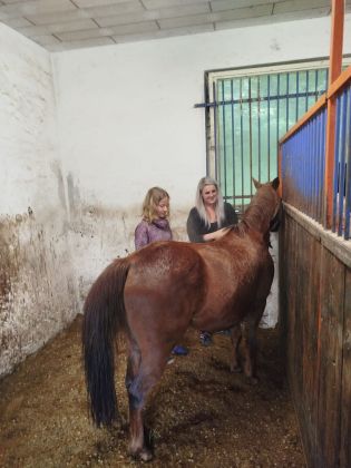 Fotografie img-20240611-wa0041_original.jpg