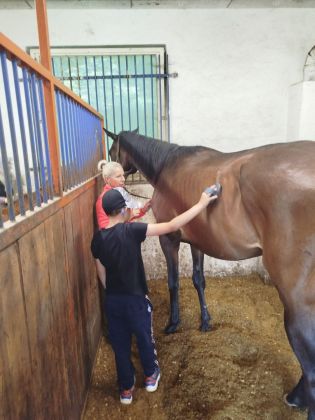 Fotografie img-20240611-wa0043_original.jpg