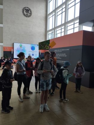 Fotografie trashed-1720877935-img_20240613_095101_original.jpg