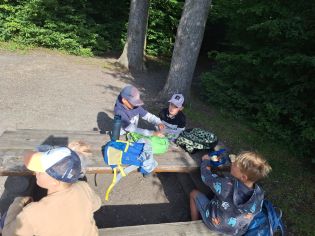 Fotografie img-20240617-wa0003_original.jpg