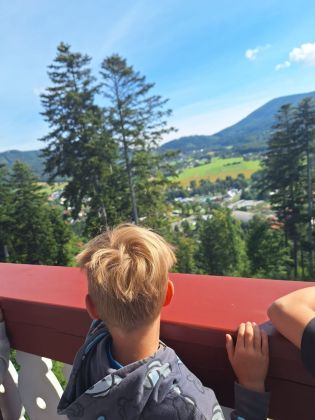 Fotografie img-20240617-wa0006_original.jpg