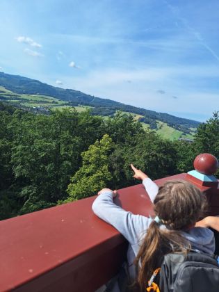 Fotografie img-20240617-wa0007_original.jpg