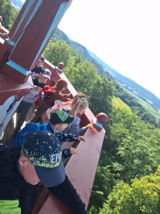 Fotografie img-20240617-wa0008_original.jpg