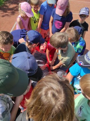 Fotografie img_20240618_100031_original.jpg