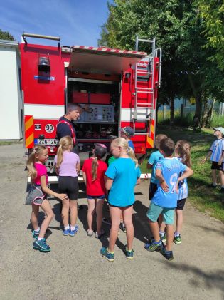 Fotografie img_20240618_101445_original.jpg