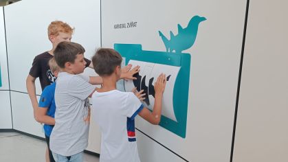 Fotografie img-20240619-wa0005_original.jpg