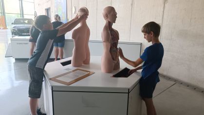 Fotografie img-20240619-wa0006_original.jpg