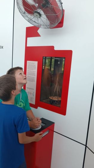 Fotografie img-20240619-wa0008_original.jpg