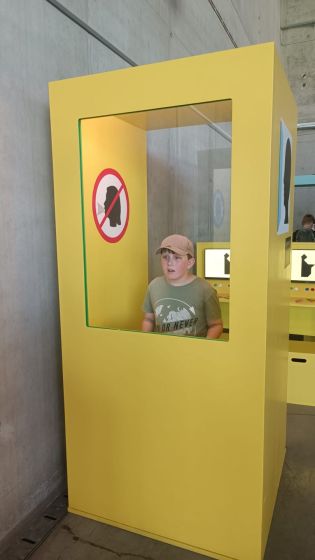 Fotografie img-20240619-wa0010_original.jpg