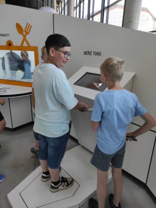 Fotografie img_20240619_101521_original.jpg