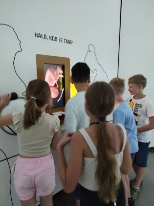 Fotografie img_20240619_102124_original.jpg