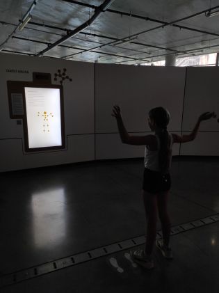 Fotografie img_20240619_102237_original.jpg