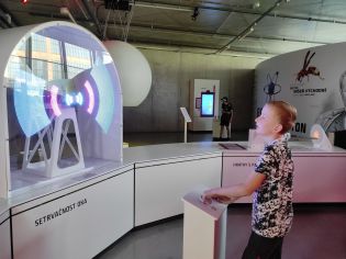 Fotografie img_20240619_105021_original.jpg