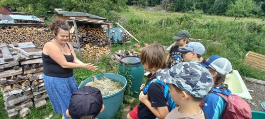 Fotografie img-20240624-wa0034_original.jpg