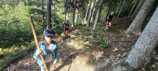 Fotografie img-20240624-wa0039_original.jpg