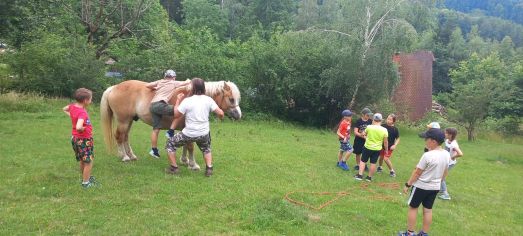 Fotografie img-20240624-wa0042_original.jpg