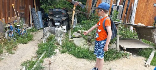 Fotografie img-20240624-wa0046_original.jpg