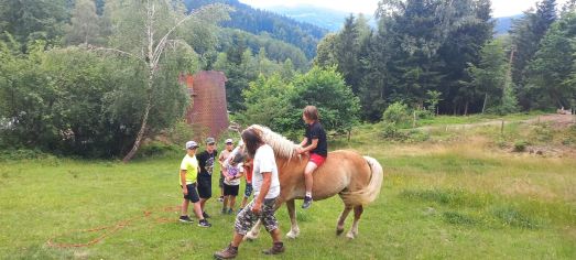 Fotografie img-20240624-wa0051_original.jpg