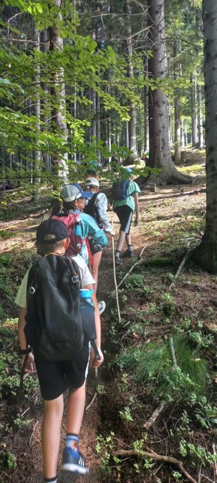 Fotografie img-20240624-wa0056_original.jpg