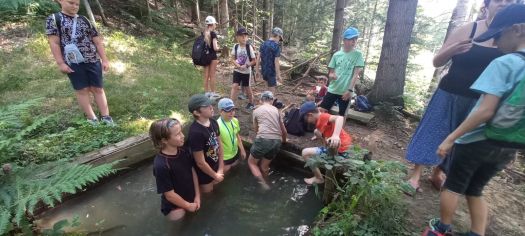 Fotografie img-20240624-wa0058_original.jpg