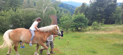 Fotografie img-20240624-wa0059_original.jpg