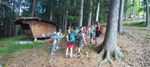 Fotografie img-20240624-wa0060_original.jpg