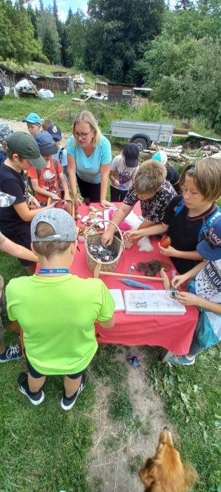 Fotografie img-20240624-wa0068_original.jpg