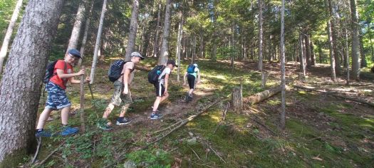 Fotografie img-20240624-wa0073_original.jpg