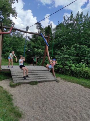 Fotografie img_20240626_152709_original.jpg